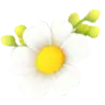 terms icon 1